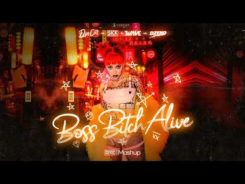 Doja Cat vs. SICK INDIVIDUALS & EVAWE vs. Dzeko - Boss Bitch Alive (Stephen Hurtley Mashup)