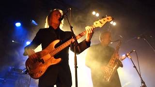 The Sonics - Sugaree - Stockholm 2018