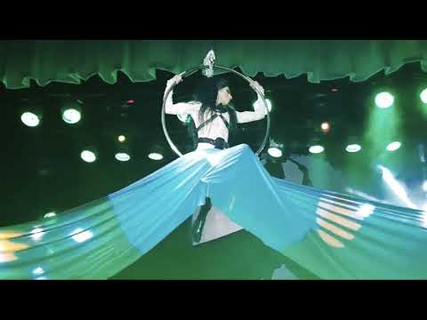 REINAS DE LA NOCHE 5 - ALL STAR - AMOR LOVE DACARDILL