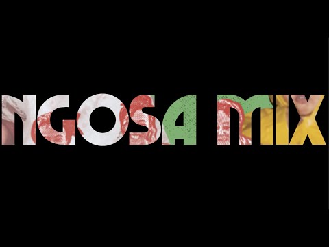 Emeli Sandé - Family [NGOSA Remix] (Official Music Video)