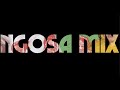 Emeli Sande - Family (NGOSA Remix)