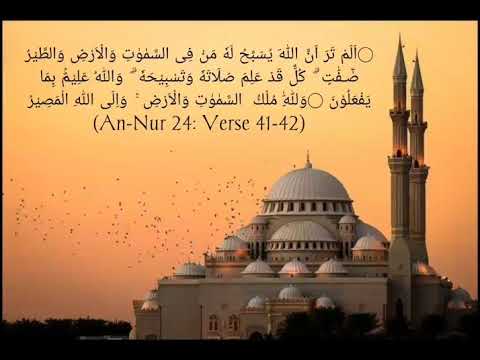 (An-Nur 24: Verse 41-42)
