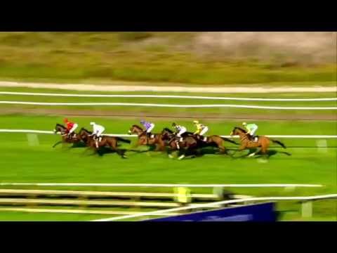 2014.09.27 Dansk St. Leger - Inaya