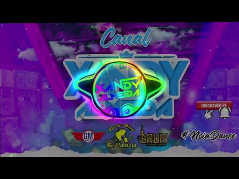 Nessa Virada De Ano Mc Laureta e Mc Lina (Xandy Remix )