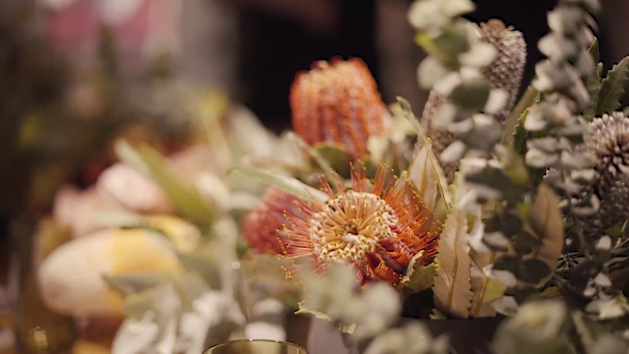 Boyd Collection Walsh Street Film