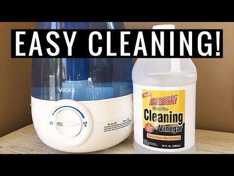 How to Clean and Sanitize a Humidifier