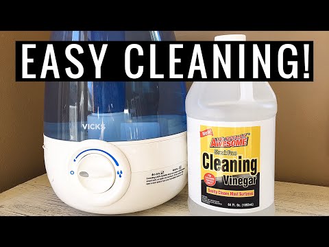 How to Clean a HUMIDIFIER NATURALLY With Vinegar | Andrea Jean