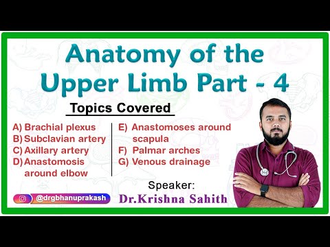 Anatomy of the Upper Limb ( Part - 4 ) : Fmge, Neet pg, NEXT and USMLE Step 1