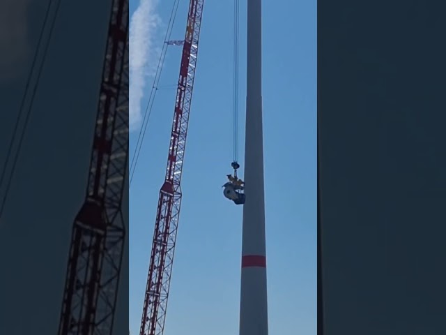 Summer Intern at EDF Renewals