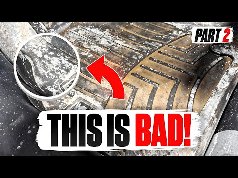 Winter Interior Detail: Remove Salt, Grime & Refresh Your Car (Part 2)