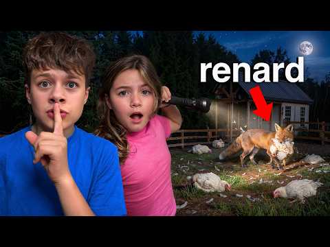 Un ANIMAL SAUVAGE ATTAQUE Notre MAISON