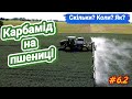 Urea On Wheat Urea Is A Fertilizer For Improving Grain Quality Protein Gluten