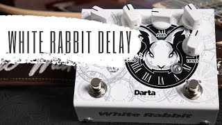 Video thumbnail for PEDAL DE DELAY DARTA EFFECTS WHITE RABBIT TIMBRES & DICAS by Eric Paulussi