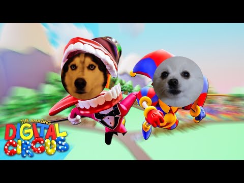 The Amazing Digital Circus(Dog Cover)