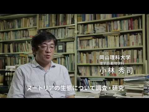動物学科の研究力
