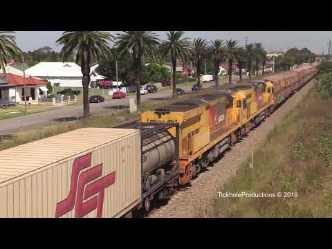 SCT010, CSR009, ACB4405 & ACB4401 - Waratah - January 2019