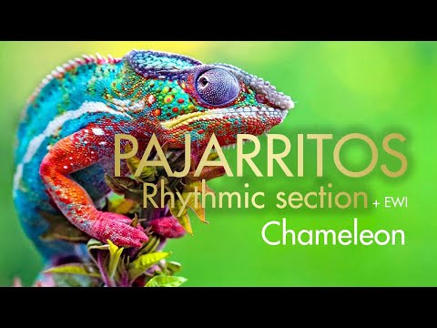 Pajarritos (rhythmic section + EWI) - Chameleon (Herbie Hancock cover)