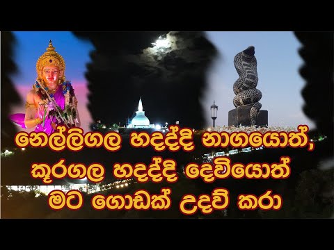 නෙල්ලිගල හදද්දි නාගයොත්,කූරගල හදද්දි දෙවියොත් මට ගොඩක් උදව් කරාWathurakumbure himi- (2022 08 27 )