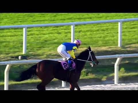 220820 c06 CHE CIELO