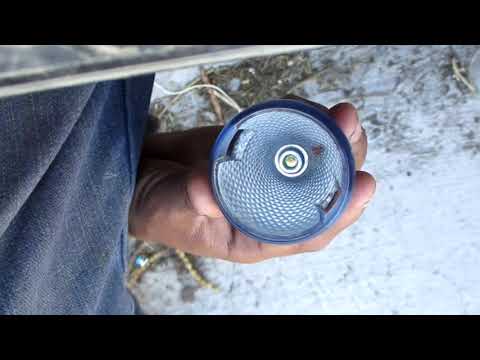 Puede una hormiga marearse??