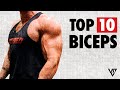 Top 10 Biceps Workouts (The Best of V Shred!)