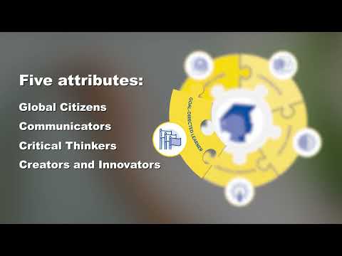 Dynamic Graphics: Student Learner Profiles