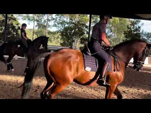 Layla Williams Masterclass Application (Grand Prix)