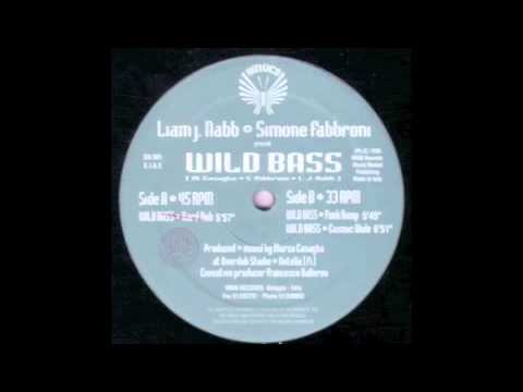 Liam J Nabb & Simone Fabbroni (Wild Bass  Funk Dump) 1995