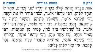 מסכת בכורות פרק ב משנה ח