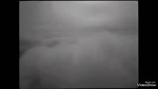 Solitary Experiments/ Counterpart traducido al español