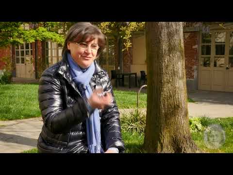 Documentario - Rosanna Tabasso  - slancio per Thérèse