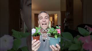 האם ידעתם שבחירה בצמחים קטנים יכולה לחסוך לכם מלא כסף???