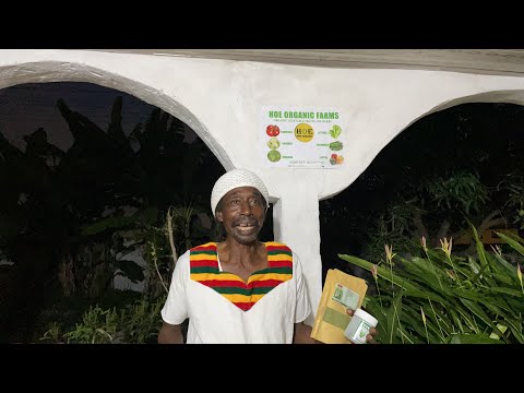 How AfroAm started a business in Ghana organic farming (heaven on earth)