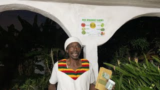 How AfroAm started a business in Ghana organic farming (heaven on earth)