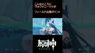【原神】ヴォジャニーツァがこんなところに！【Genshin】