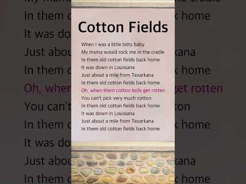 Cotton Fields | Creedence Clearwater Revival