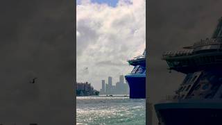 Celebrity Beyond 🛳️⚓️ #like #share #comment #subscribe #cruiseship #cruise #vacation #shorts #short