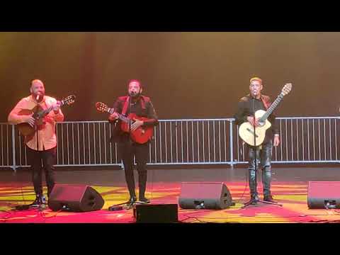 Gipsy Del Mundo Live Melody