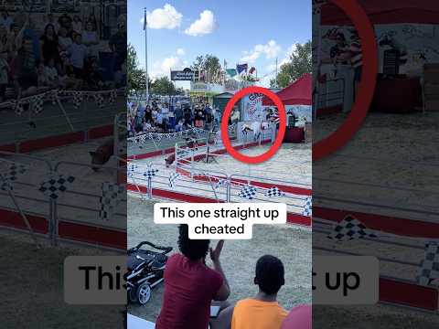 Goat outsmarts the ENTIRE race 💀