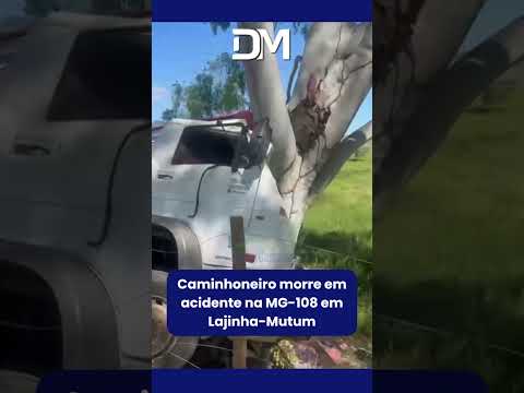Caminhoneiro morre em acidente na MG-108 em Lajinha-Mutum