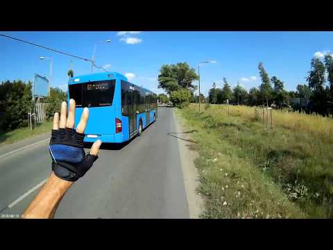 Figyelmes buszsofőr - Attentive bus driver
