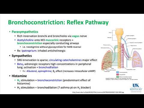 Respiratory and Thoracic Keywords 2018 - Dr. Schell
