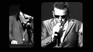 Madness   Never Knew Your Name Official Video   YouTube