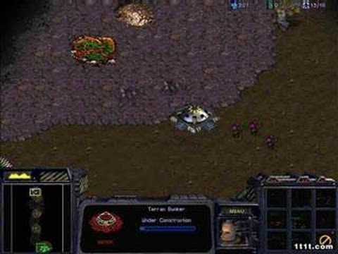 12 days of christmas Starcraft