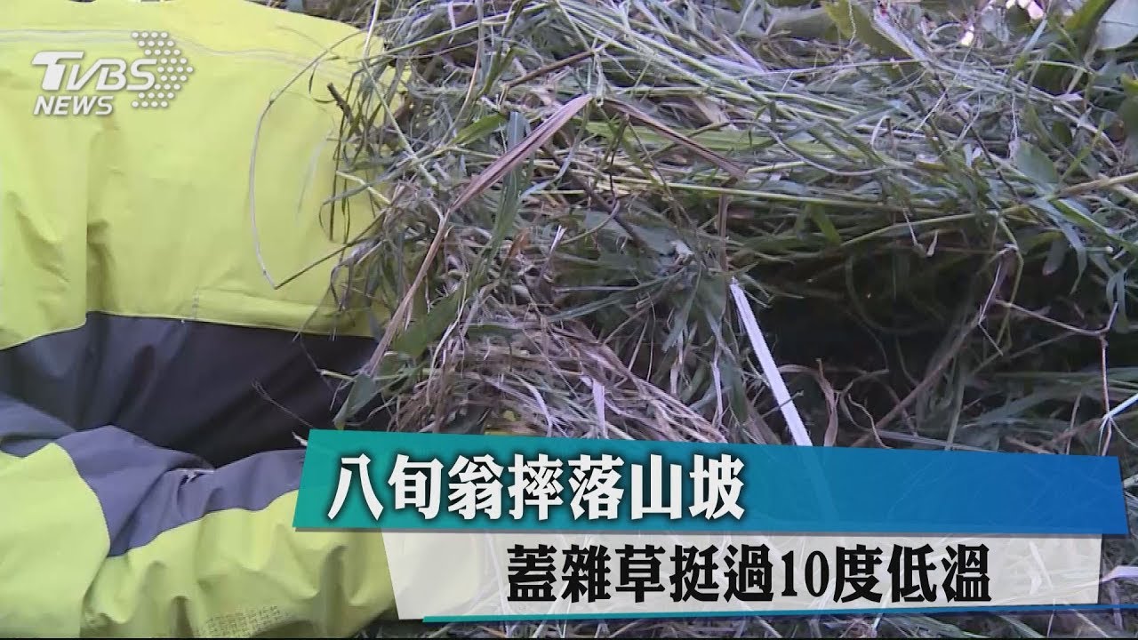 8旬翁摔落山坡　機智「蓋雜草」挺過10度低溫