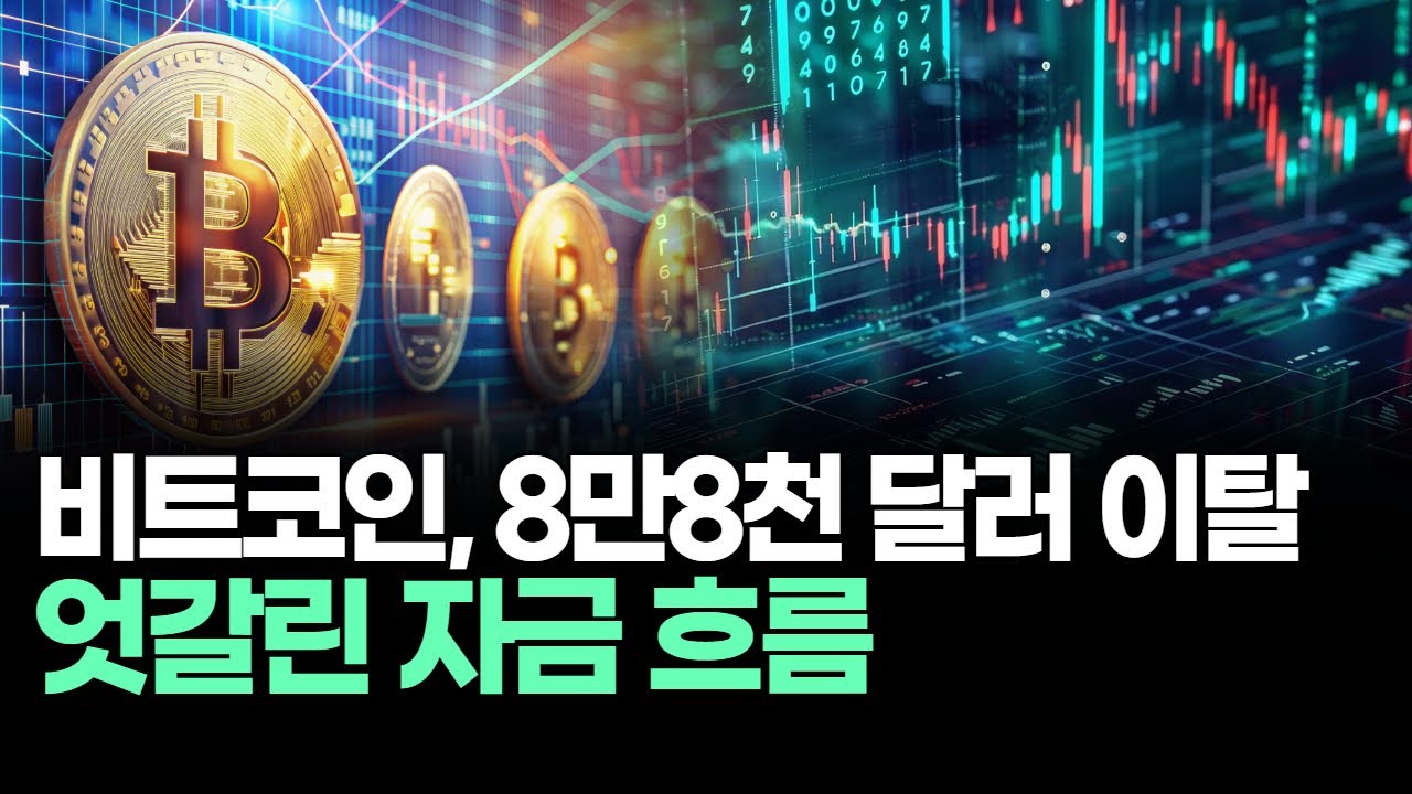 비트코인, 8만8천 달러 이탈…엇갈린 자금 흐름