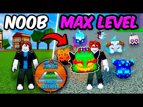 Noob to MAX With Fruit Notifier | Roblox Blox Fruits