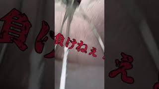 台風やばすぎて傘飛んでったぁぁぁぁあ！！！？！？！！