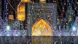 Wiladat Imam Raza As WhatsApp Status 💞 💞