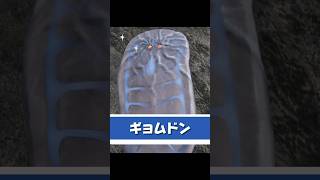 ギョムドン 捕獲場所　レア環境生物　#ギョムドン #モンハンワイルズ  #mhwilds